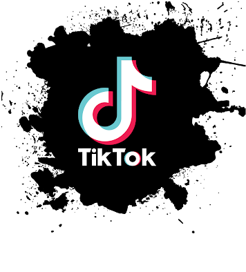 TikTok Downloader